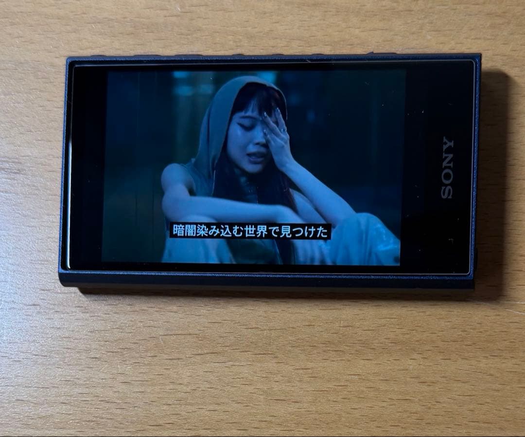 SONY NW-A306 デジタルオーディオプレーヤー　純正シリコンケース付