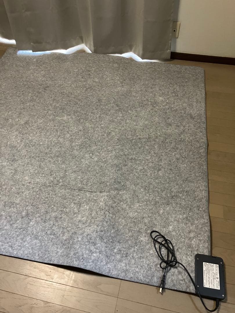ゼンケン　ホットカーペット2畳用　2020年購入　本体のみ