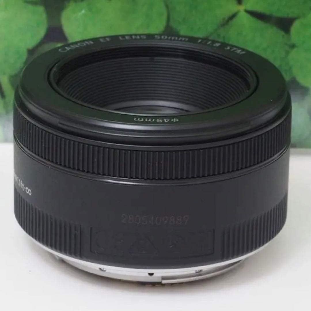 【美品】キヤノン EF50mm 単焦点 STMで動画もバッチリ♪ 神レンズ