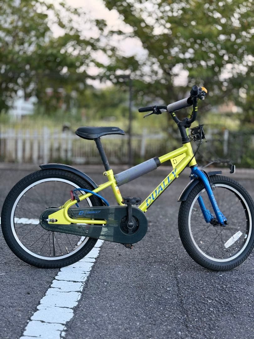 自転車本体 Dually