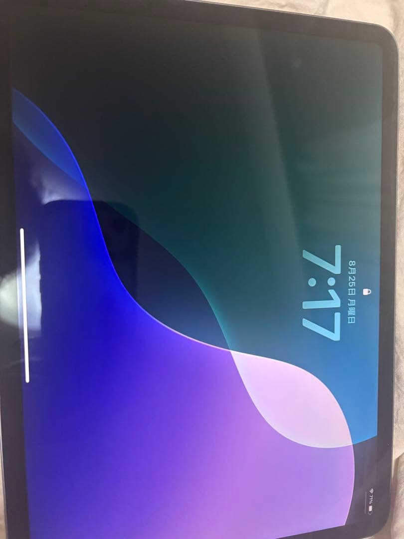 【ひめ】iPad Pro (11インチ) 第2世代 128GB