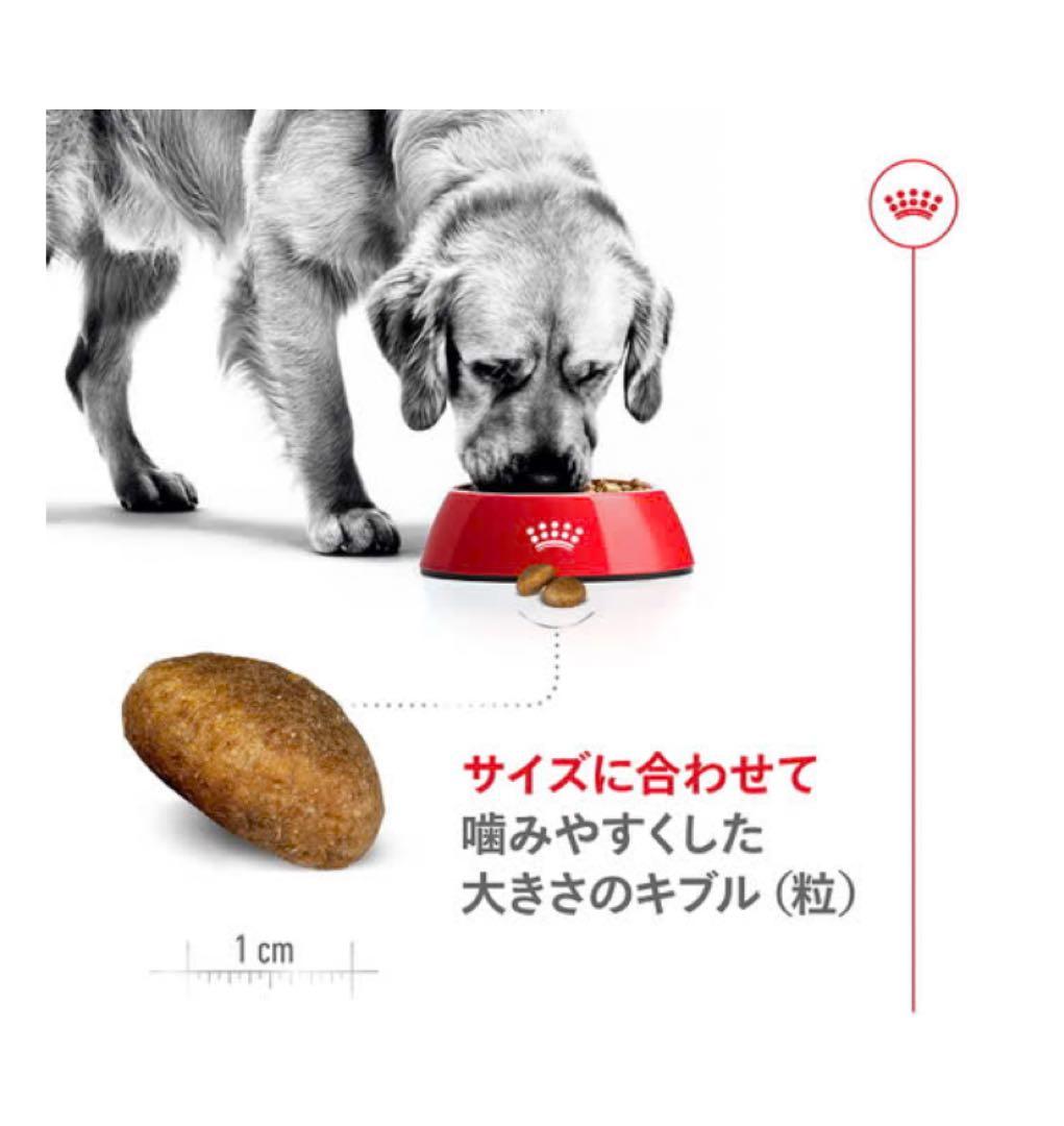 大型犬用 ドライフード 16kg 成犬用　 新品未開封　ロイヤルカナン