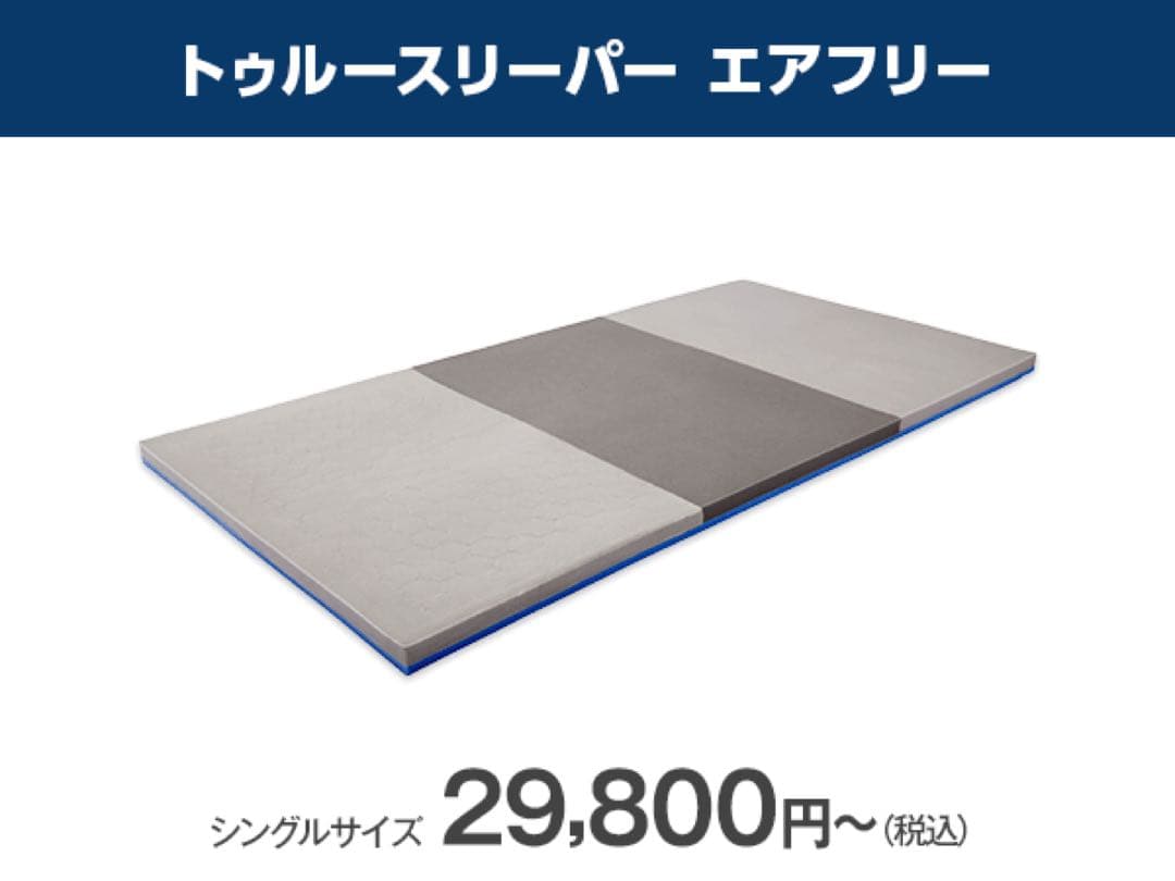 【最安値】　トゥルースリーパーエアフリー高反発マットレス