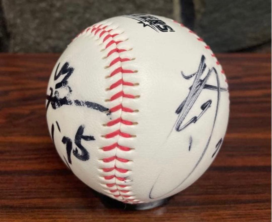 杉谷拳士選手　ファイターズ　投げ入れ直筆サインボール FIGHTERS