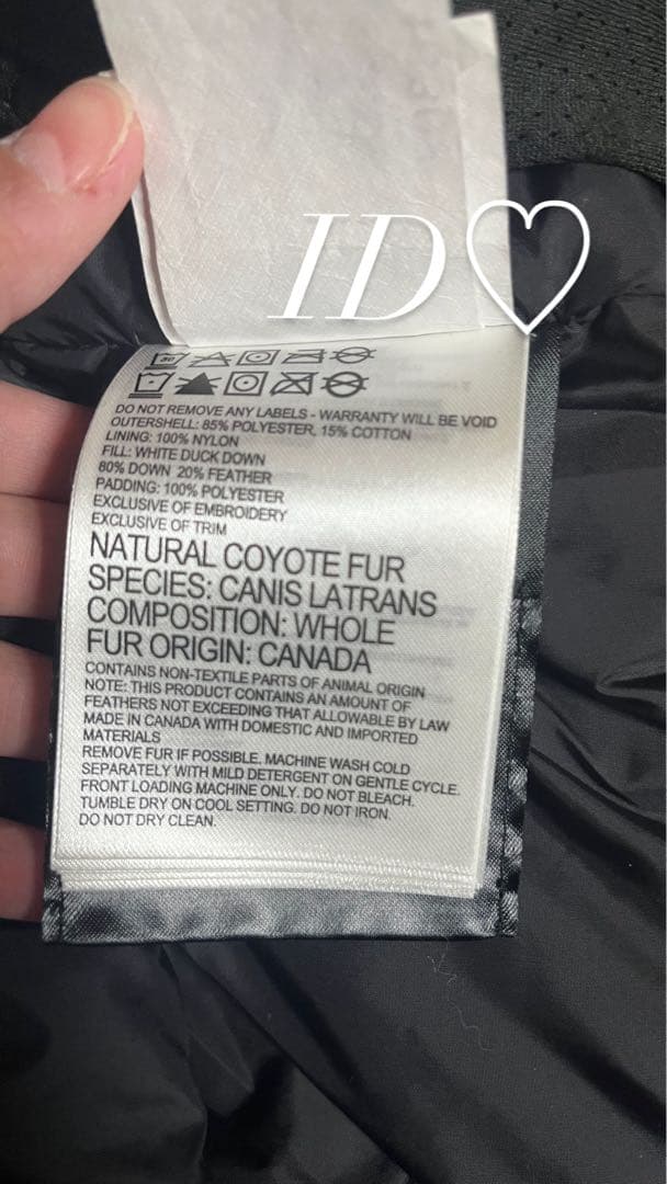 カナダグース青ダウンコート【状態非常に良い】