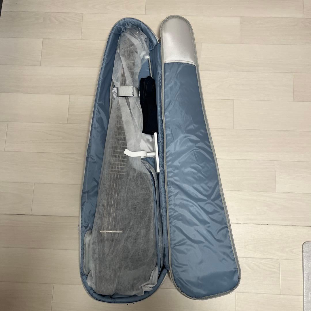 NEXG SE ギター