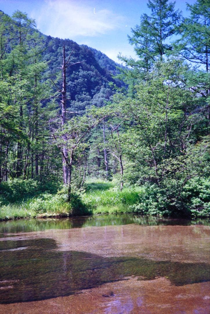 OLYMPUS 35 RC 製備品、テスト撮影済み　185617