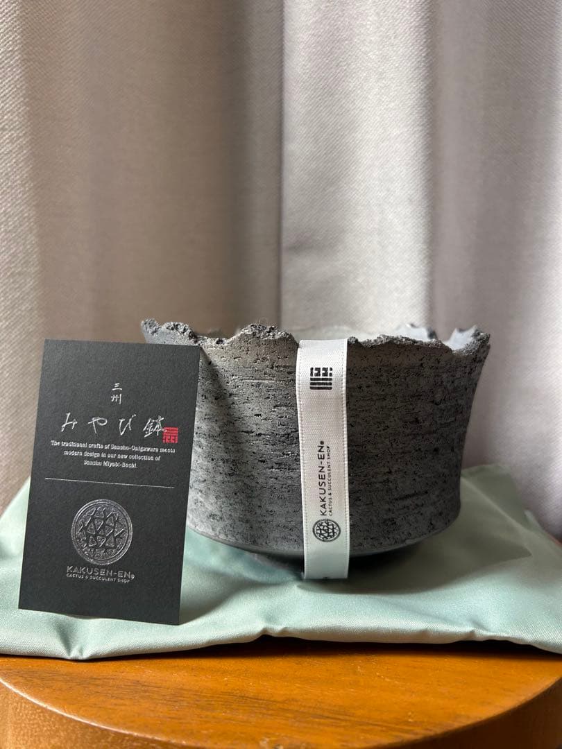 鶴仙園 三州みやび鉢 パキプスグラキリスInvisible ink SRL植木鉢