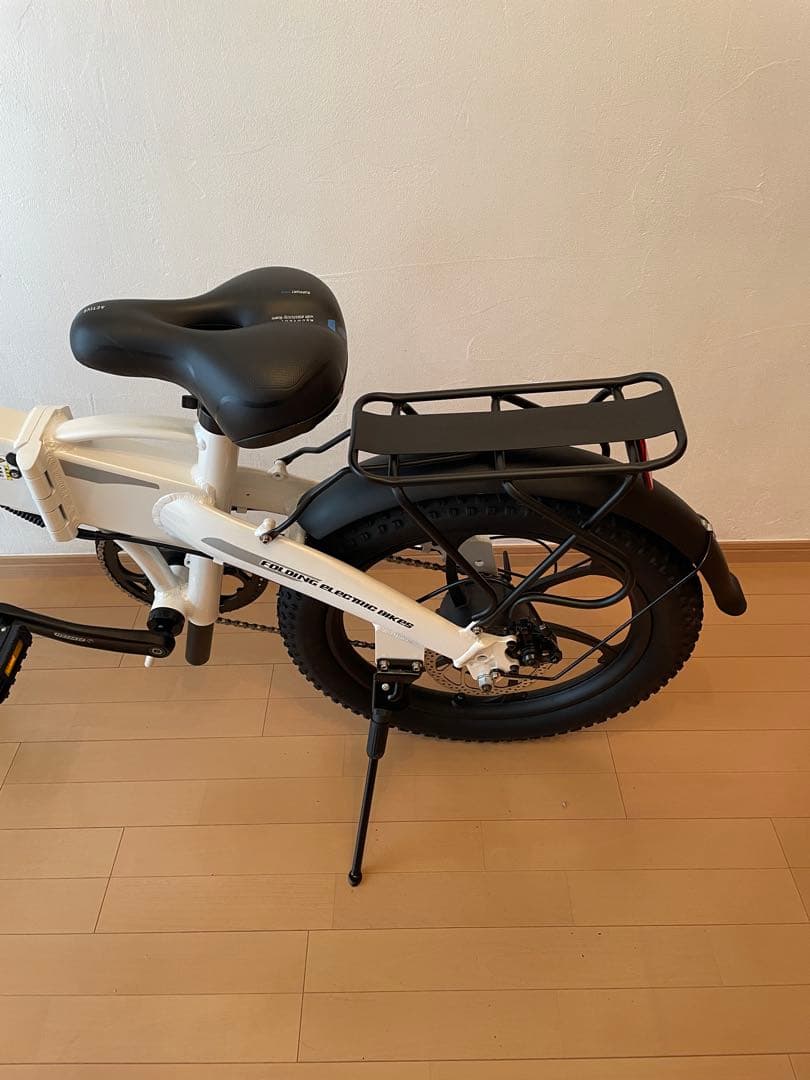 ⭐️2025年モデル 電動アシスト自転車 20インチ　FLYFISH⭐️