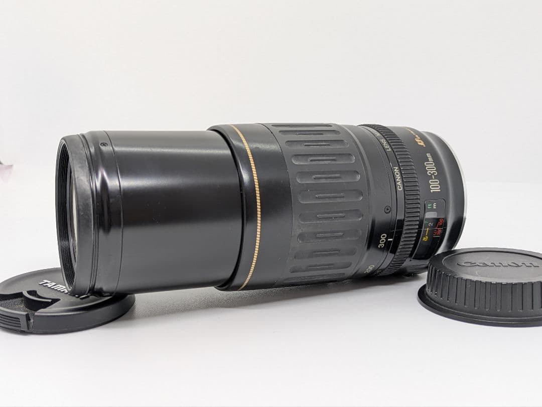 1月14日限定【超望遠レンズ】Canon EF 100-300mm USM