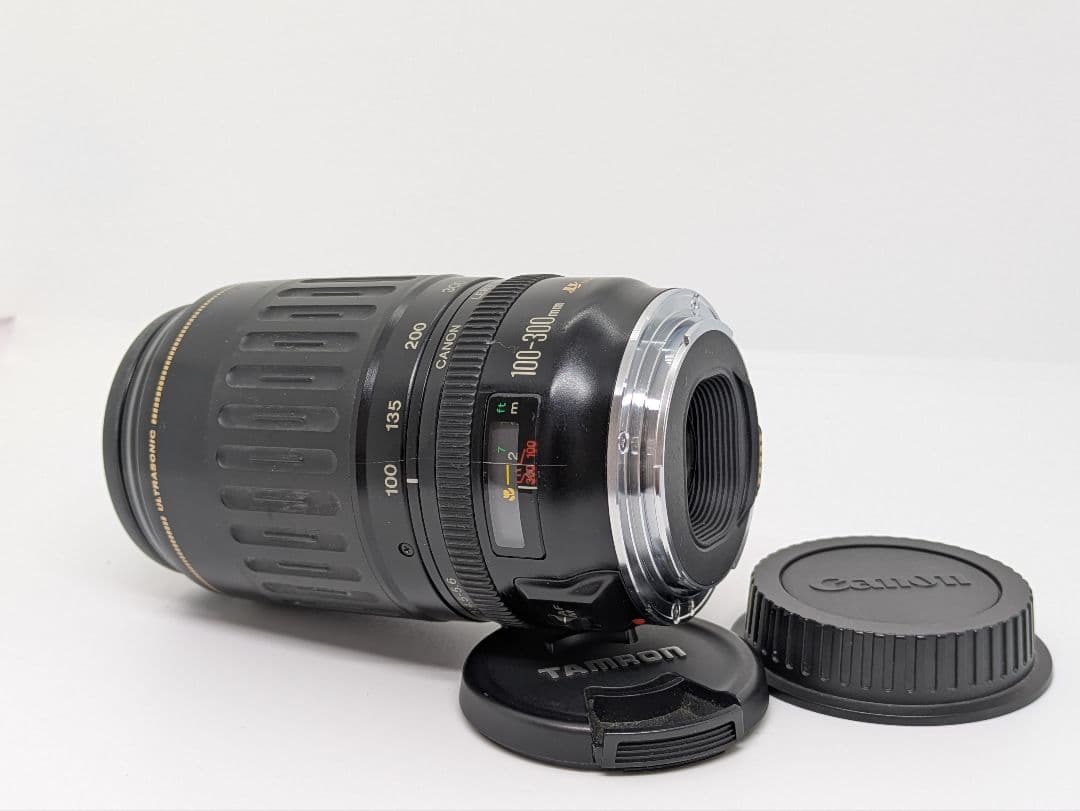 1月14日限定【超望遠レンズ】Canon EF 100-300mm USM