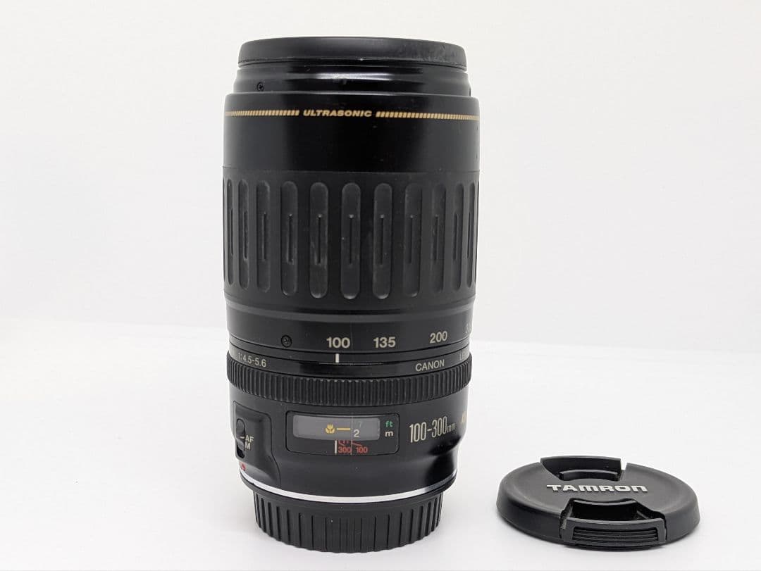 1月14日限定【超望遠レンズ】Canon EF 100-300mm USM