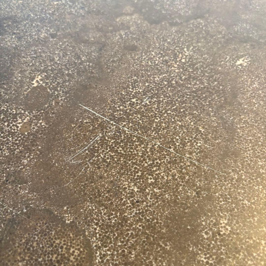 サイドテーブル・ナイトテーブル・ローテーブル Knot antiques BARK COFFEE TABLE 80