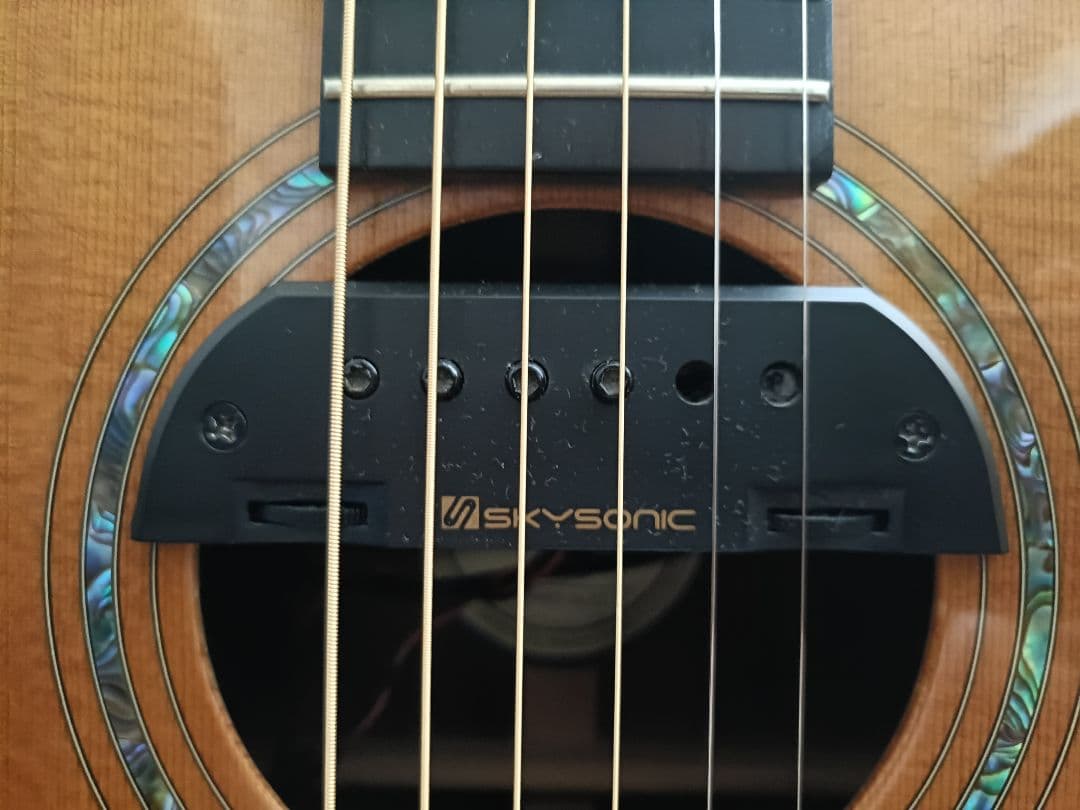 Ayers OSR アコースティックギター