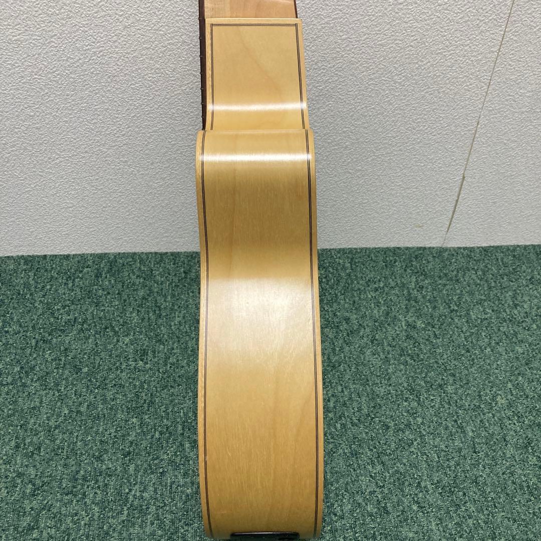 seagull amber trail cw folk sg eq アコギ