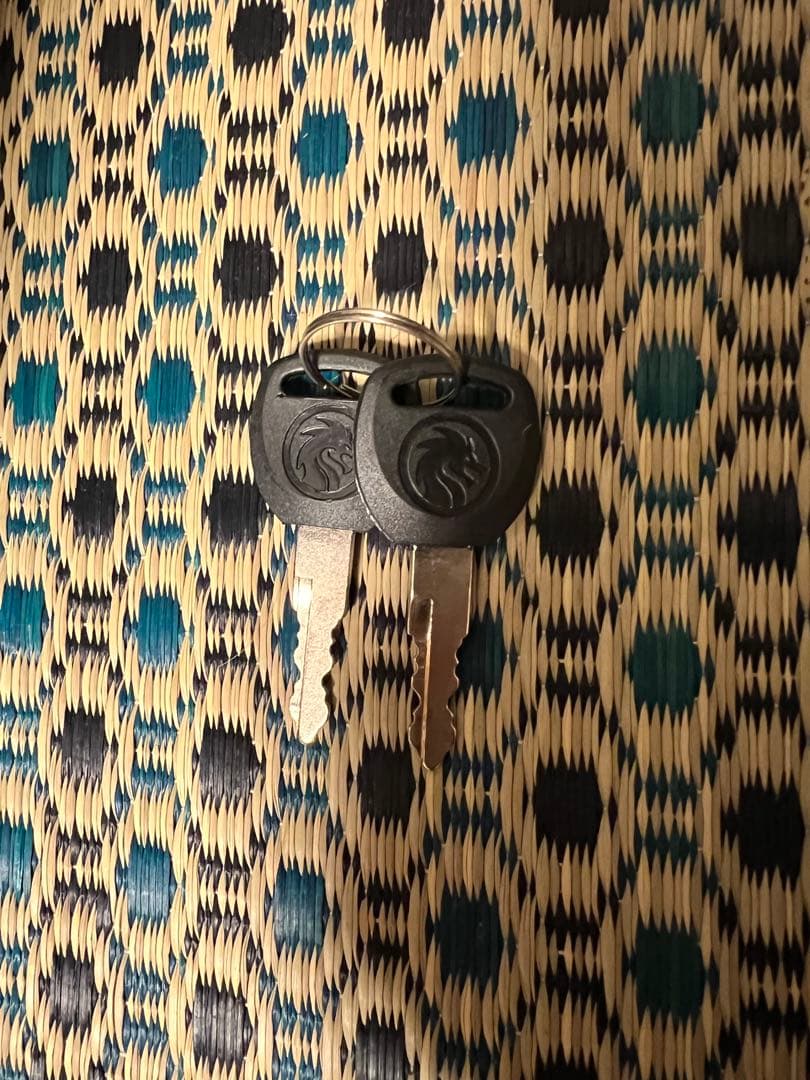 超大容量 リチウムバッテリー 48V 20Ah フル電動自転車　モペット