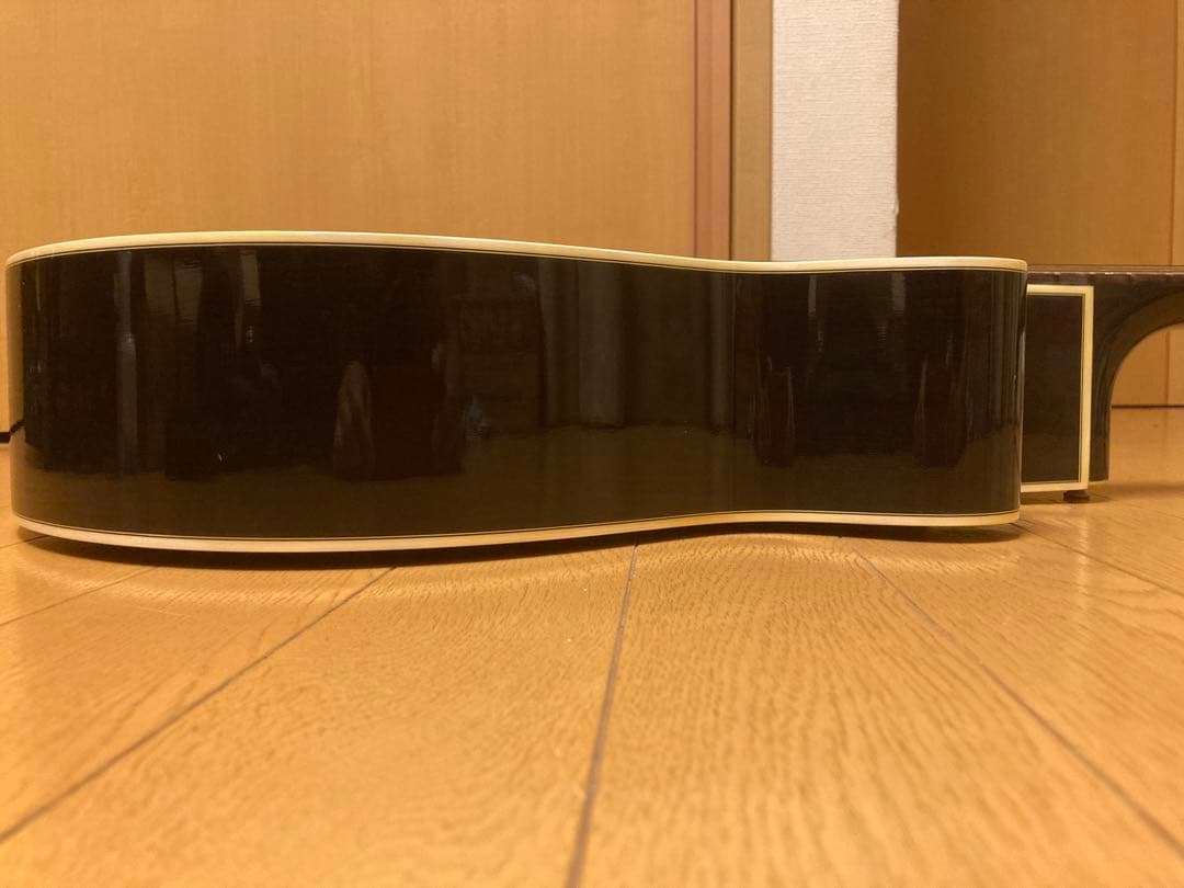 エレアコ　Takamine PT106