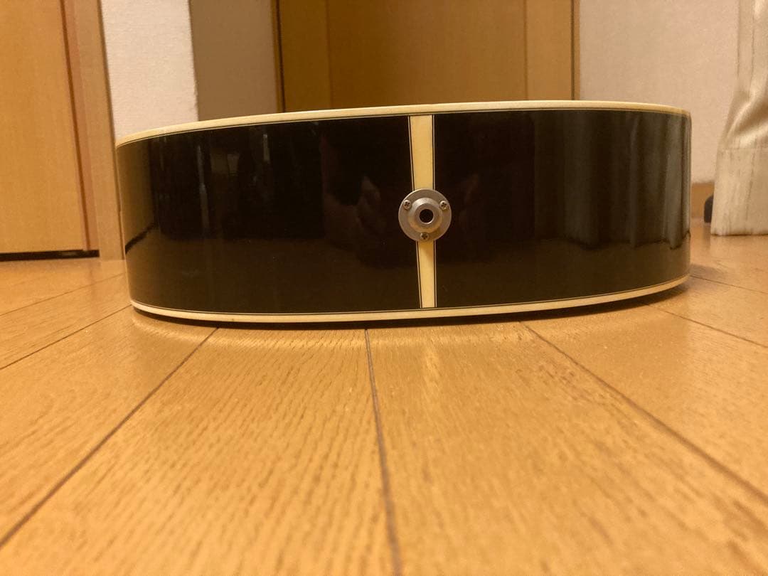 エレアコ　Takamine PT106