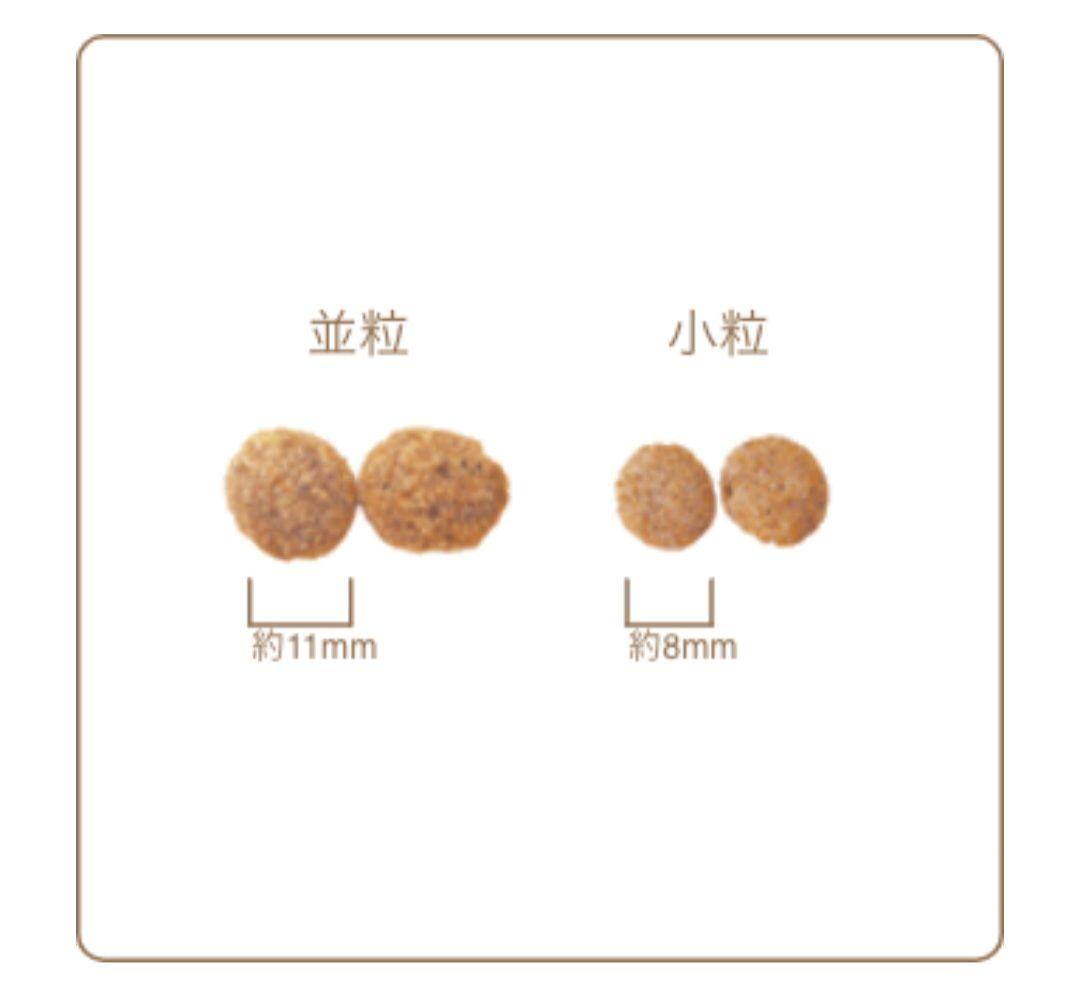 【24時間以内発送】AZ アゼット ライト シニア 10kg