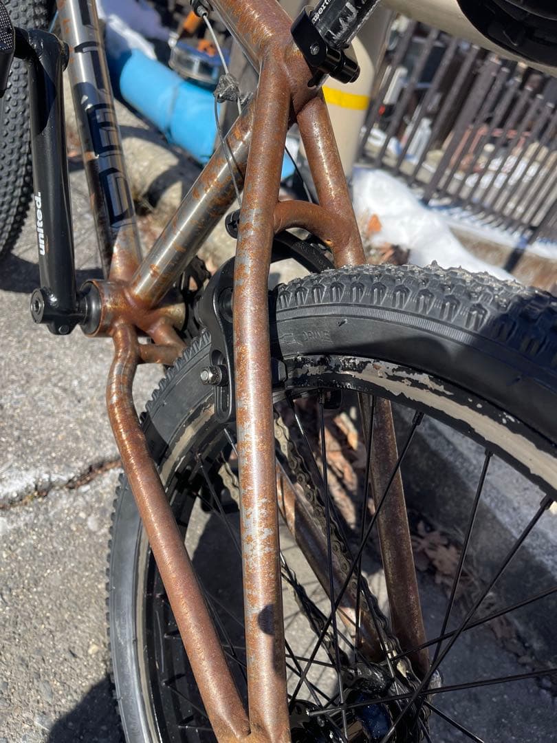 BMX UNITED REBORN カスタム 20.5”