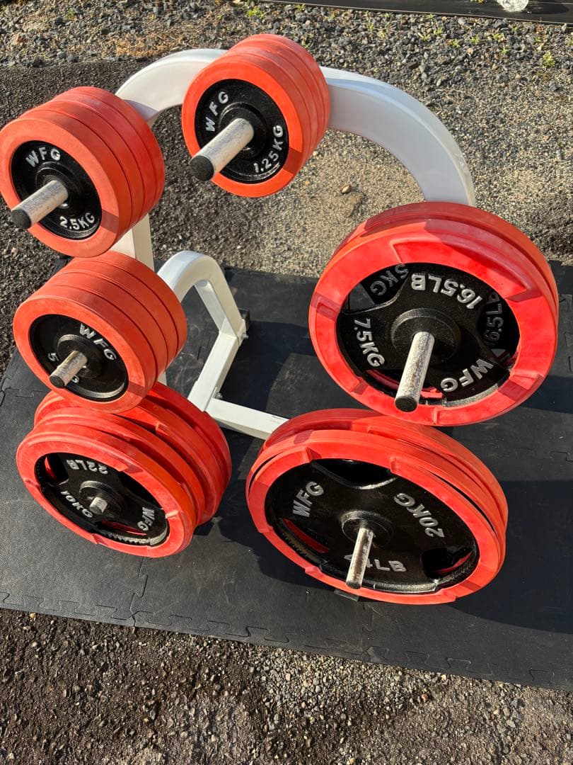 ホームジムセット WILDFIT ※引取り専用