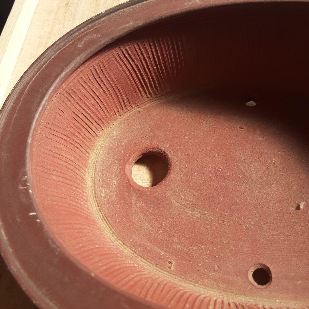 美芸造 赤土色 盆栽鉢