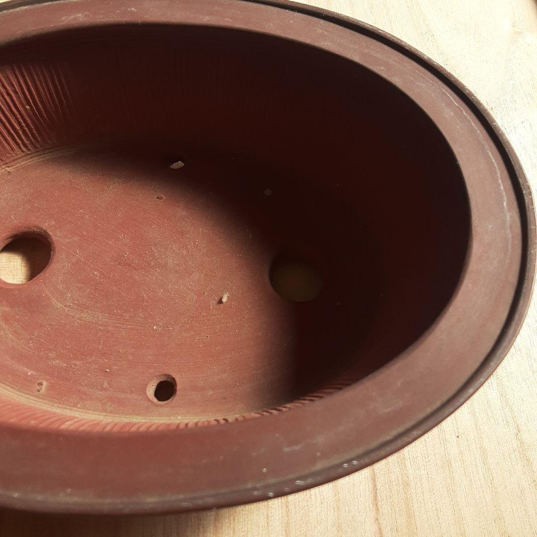 美芸造 赤土色 盆栽鉢