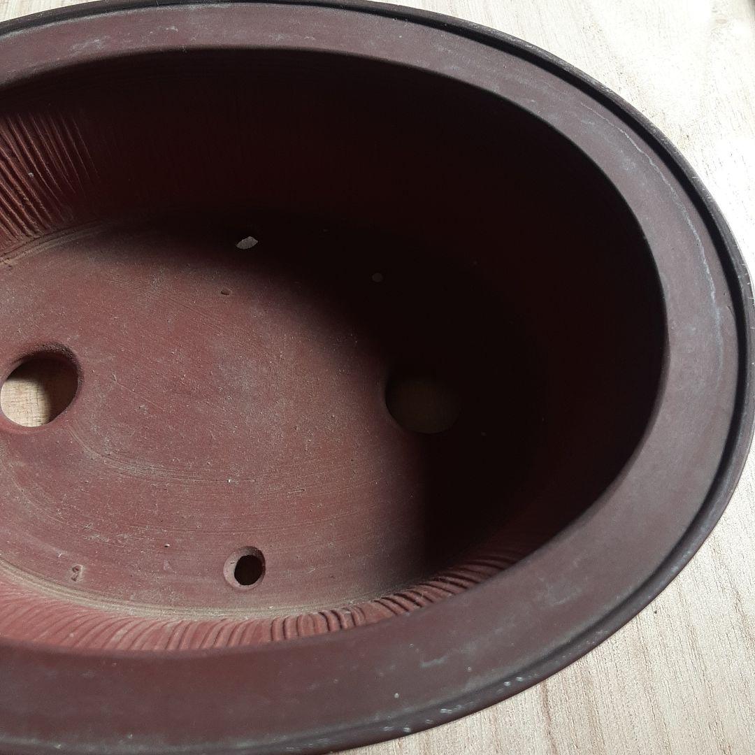 美芸造 赤土色 盆栽鉢