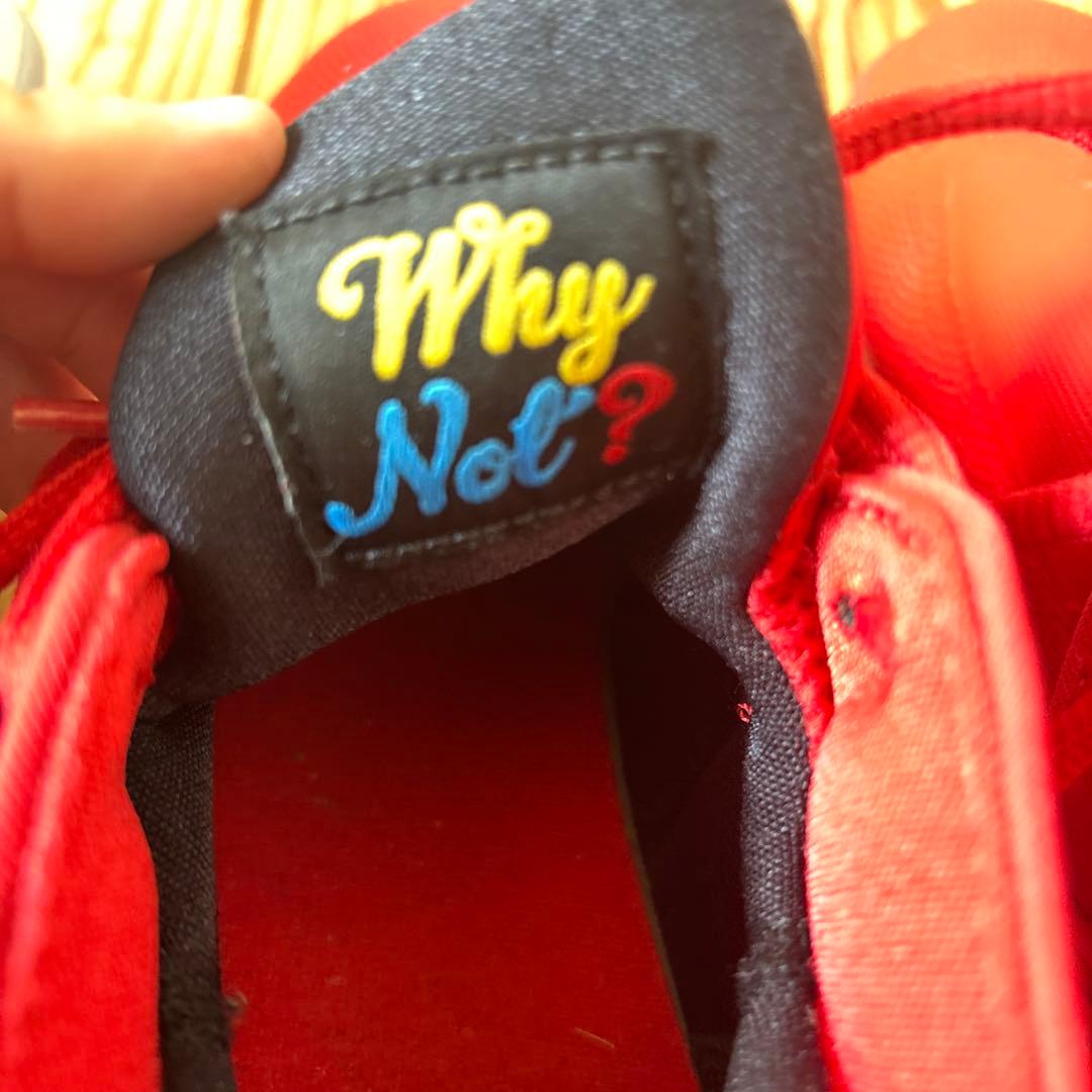 ジョーダンバッシュセット(個別売りも可能)