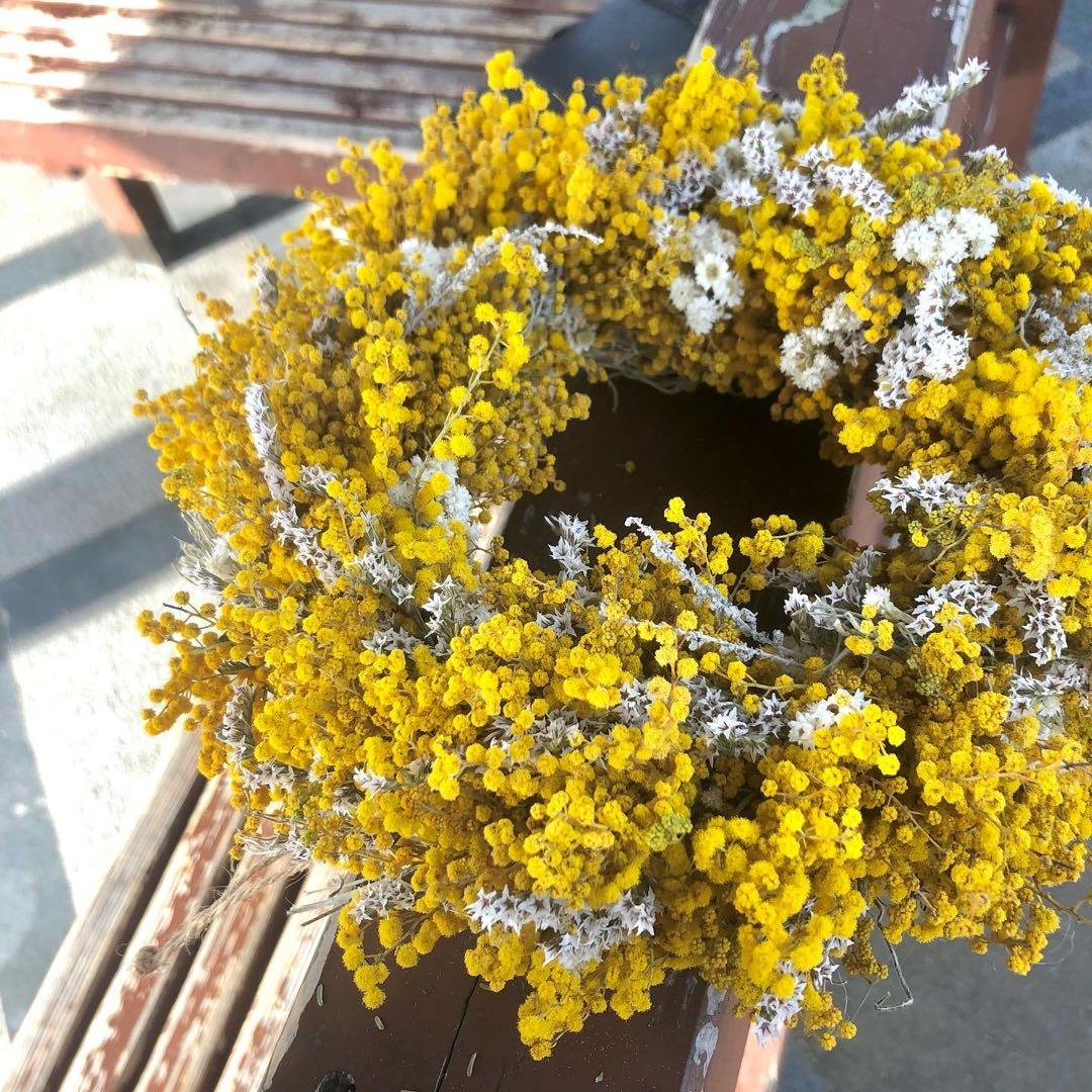 ミモザリース　ミモザ