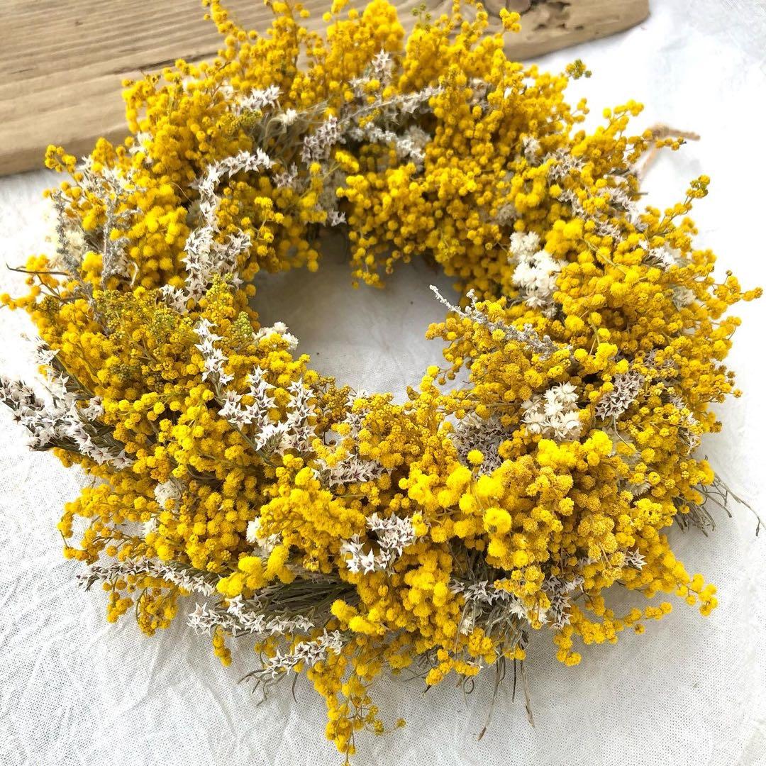 ミモザリース　ミモザ