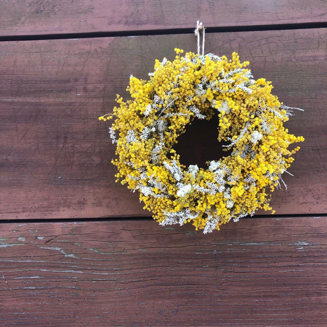 ミモザリース　ミモザ