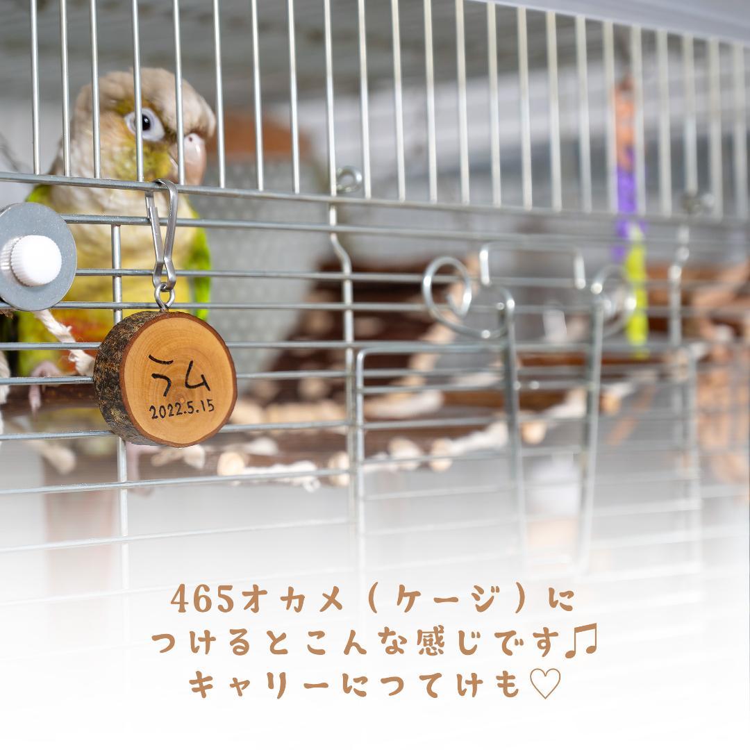 ①天然木のお名前プレート　６個 ②吊り橋スーパーロング