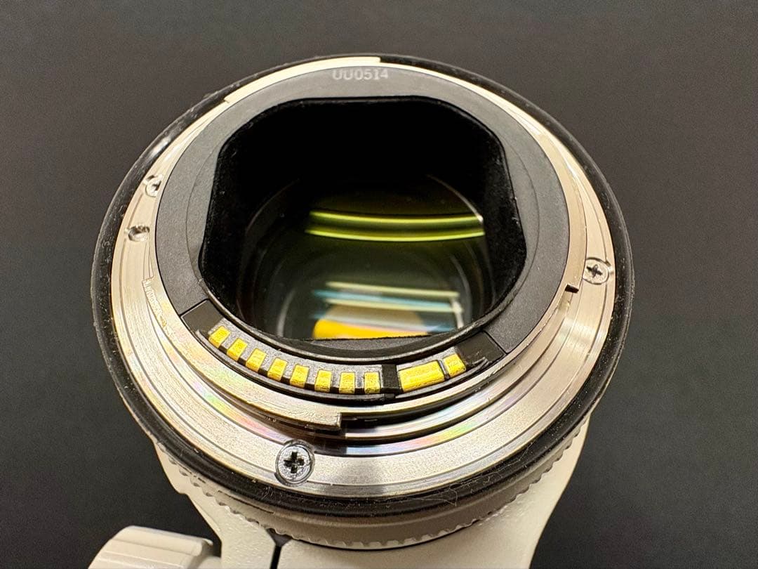 【年末大特価！】Canon EF70-200mm F2.8L IS USM