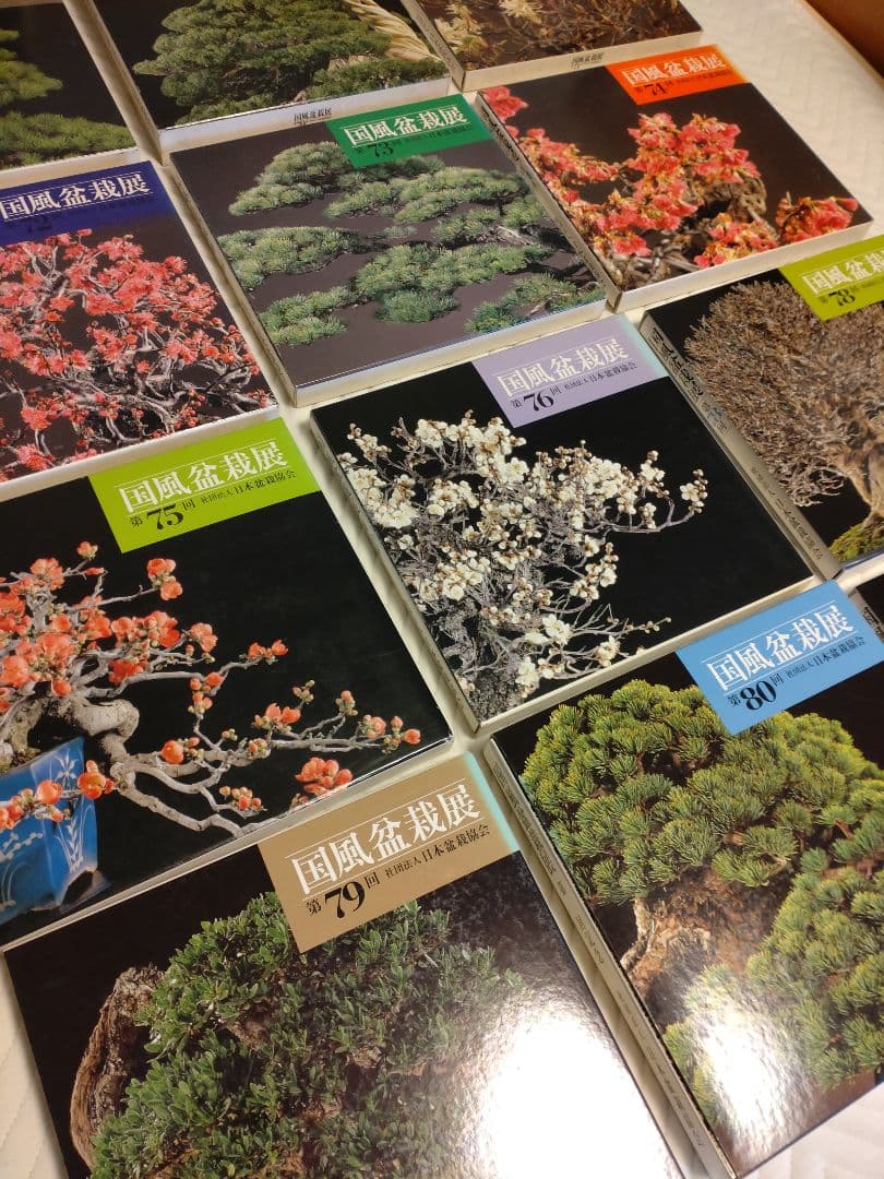 国風盆栽展 コレクション 13冊