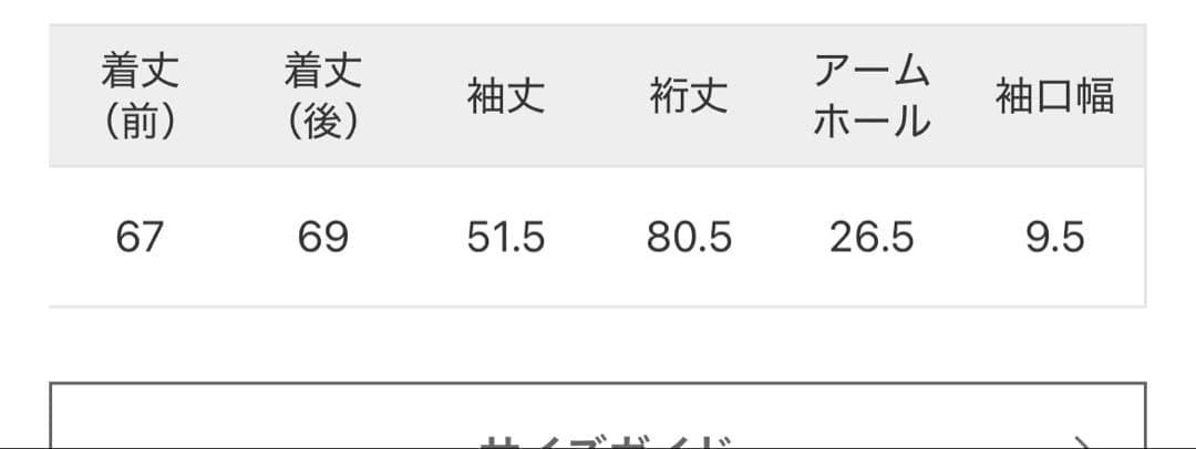 ジャーナルスタンダードラックス タフタフリルプルオーバー