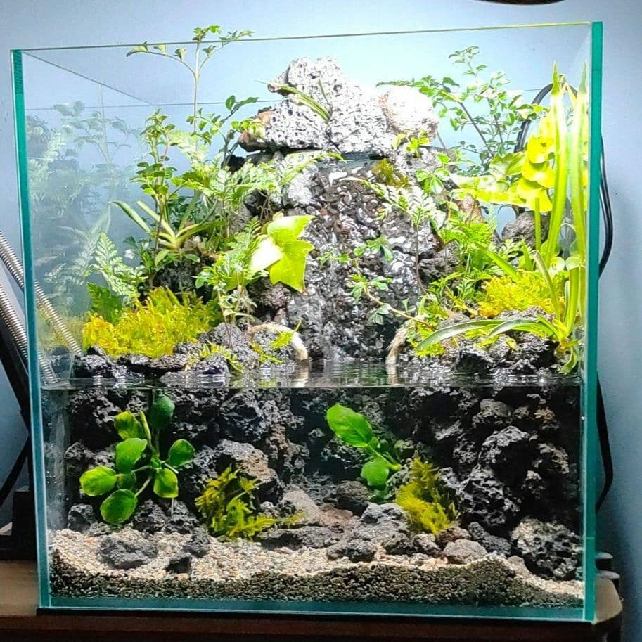 【rii】アクアテラリウム完成品_滝の流れる15cmキューブ水槽