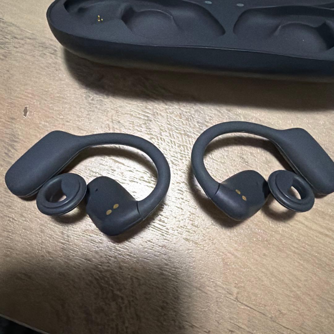 イヤホン radius beethoven HP-B100BT