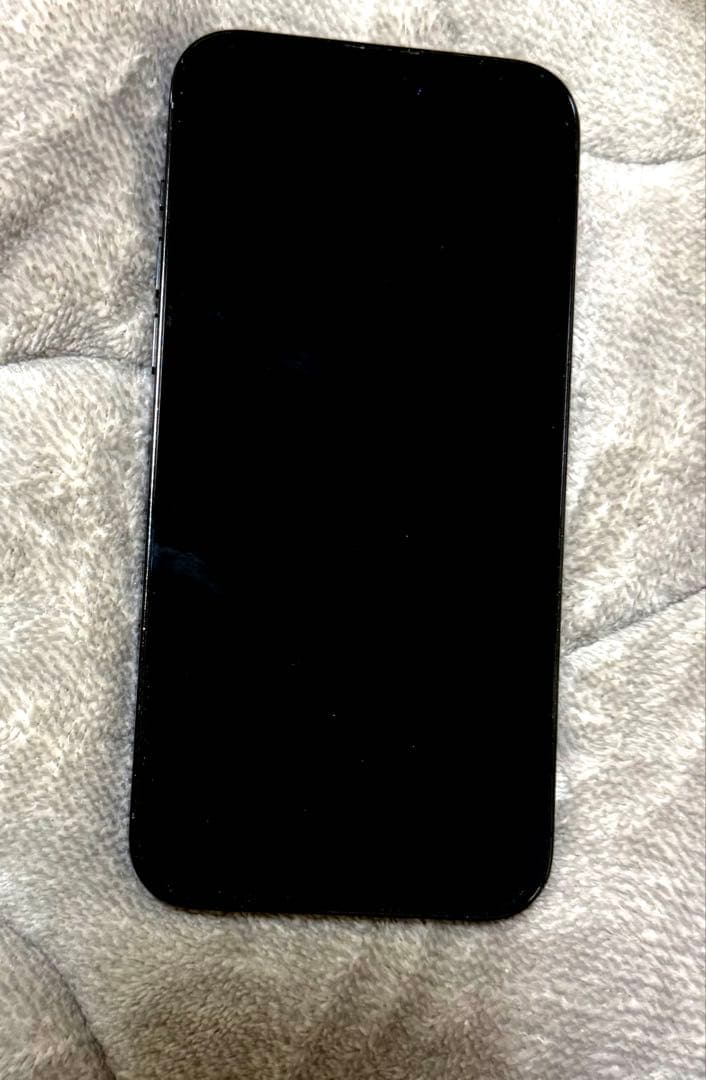 Apple iPhone 14ProMax 本体