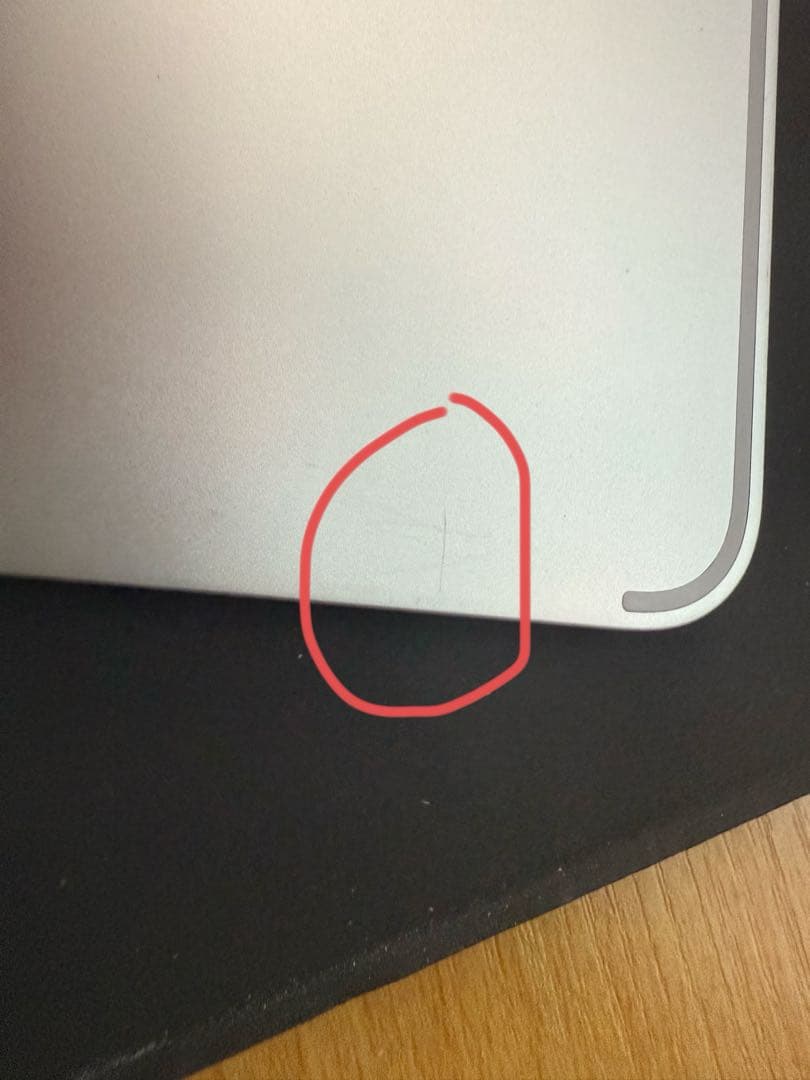 Ipad pro 11 （第3世代) 256gb