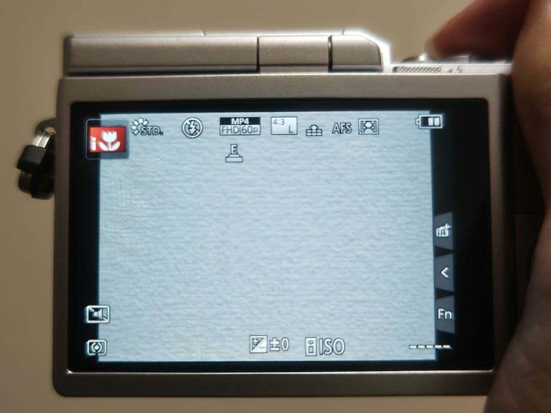 保証有 LUMIX GF10 望遠レンズセット EFレンズ遊びも可能