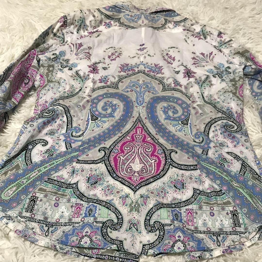 ETRO エトロ 44 ペイズリー シャツ 水色 ピンク 長袖 ボタニカル