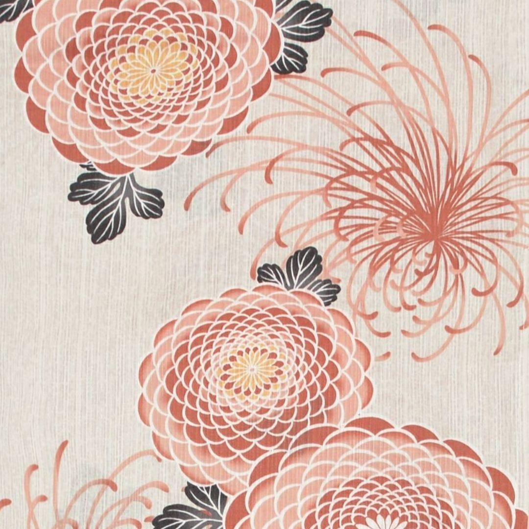 Dita 繚乱桜花 5点セット+巾着