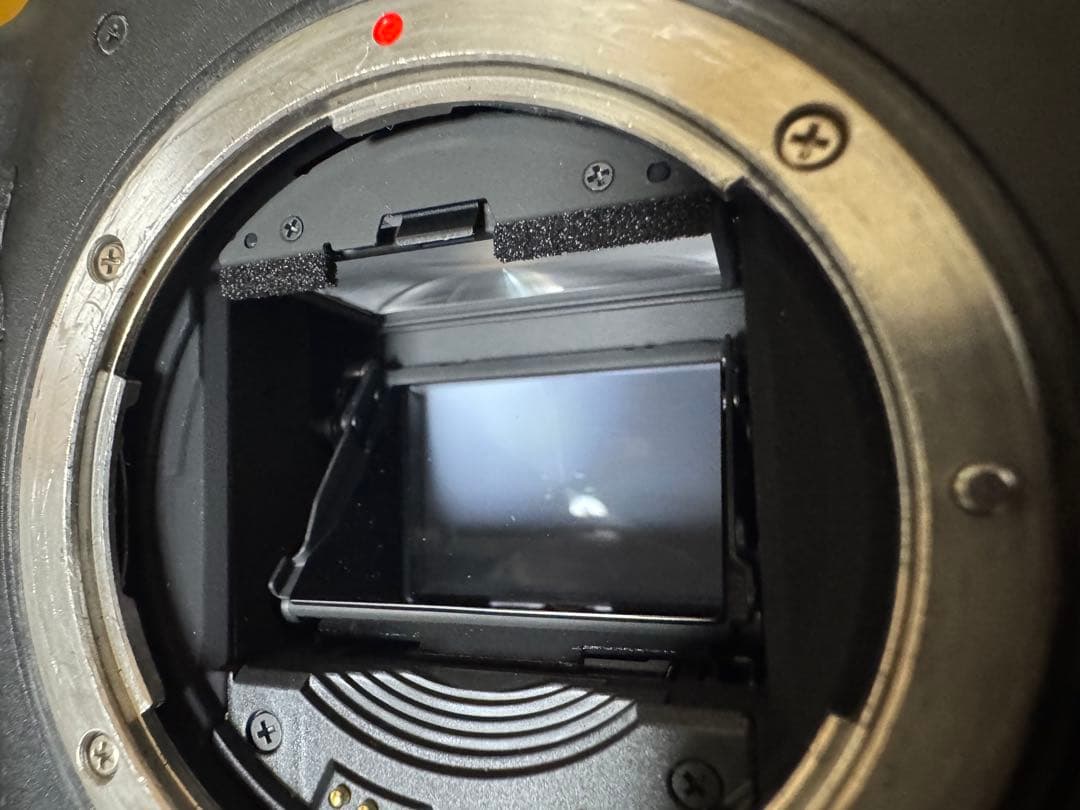 最終値下げ Canon EOS-1D X Mark II 本体 (元箱付き)