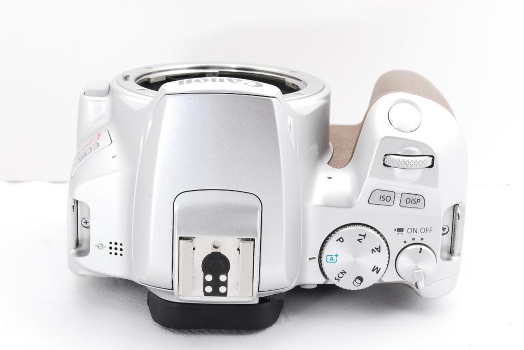 シャッター数新品級✨ Canon EOS kiss x10 希少シルバーカラー