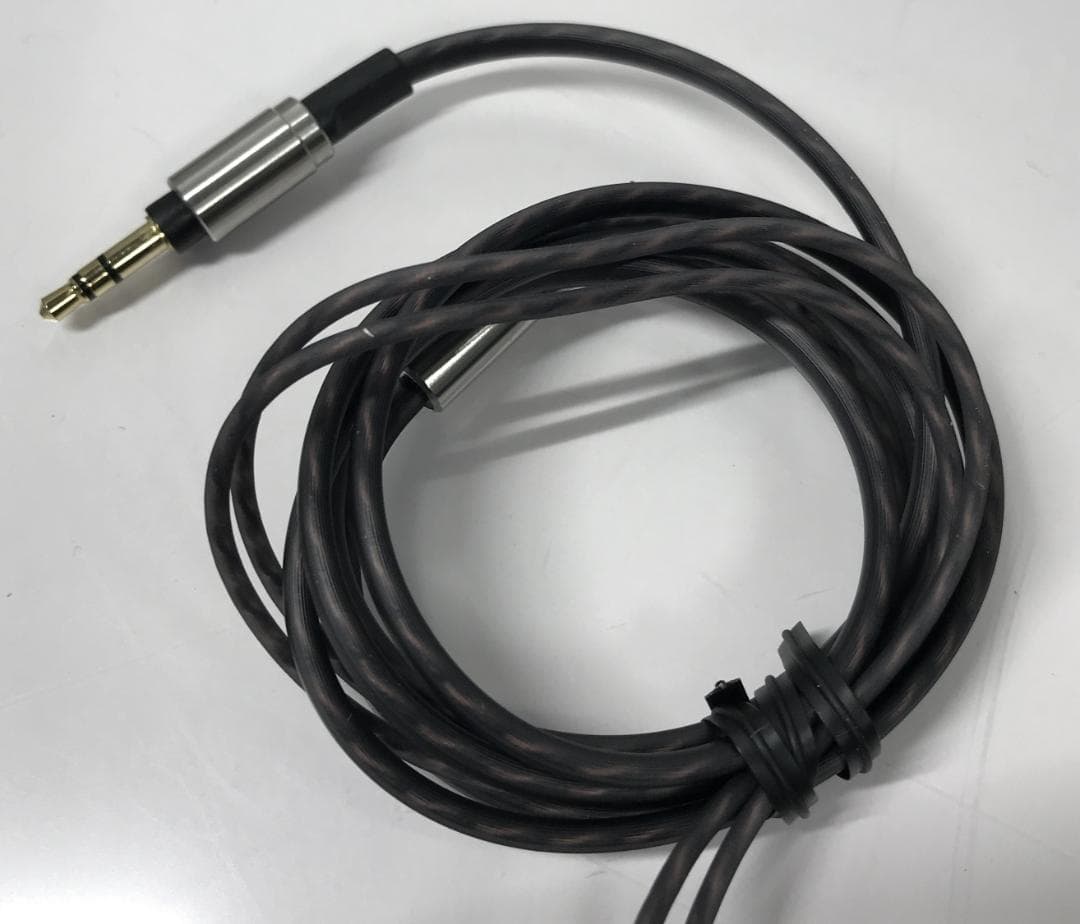 良品 JVC HA-FD01 SP イヤホン 数量限定版 りん青銅ノズル付属