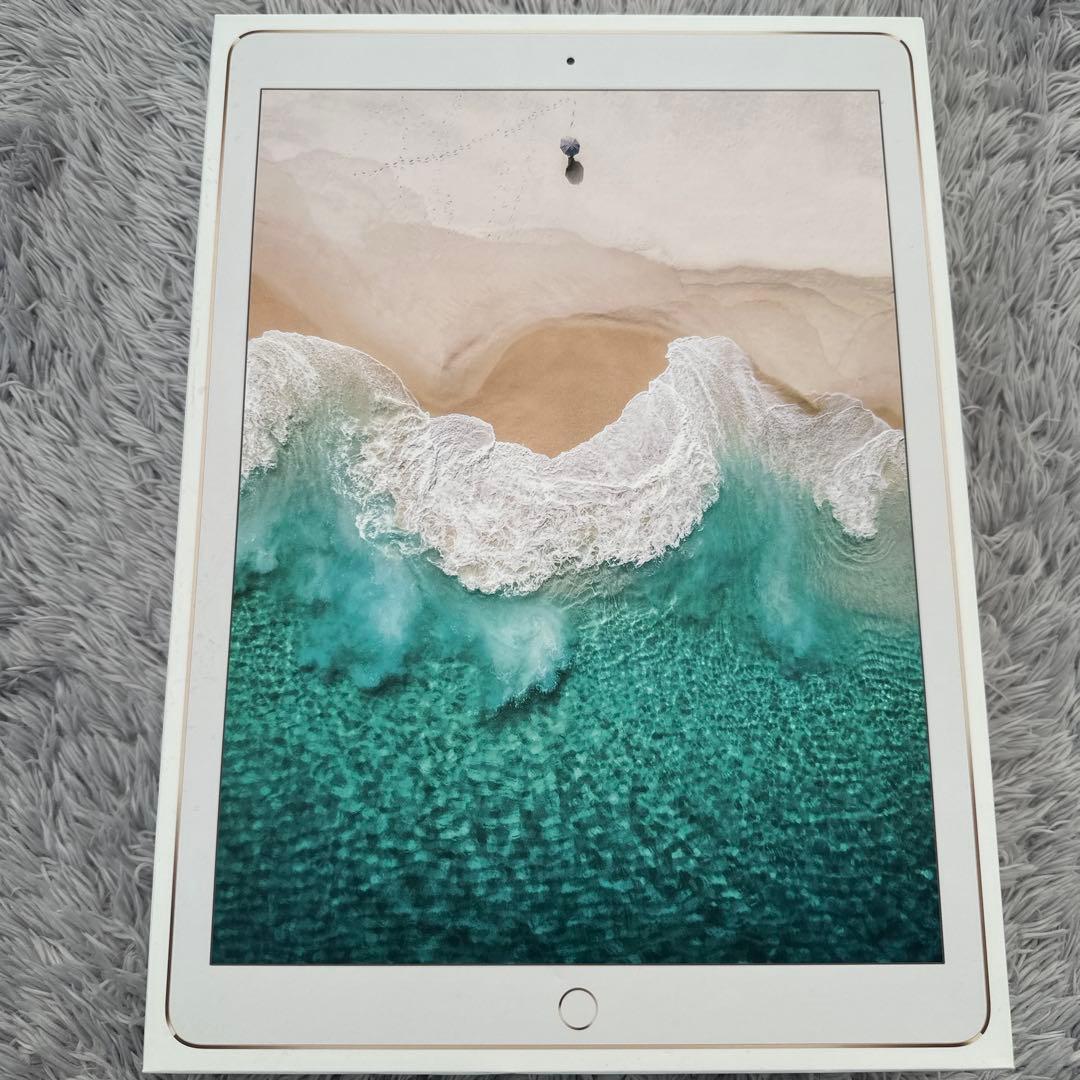 ipad pro 12.9インチ 256GB
