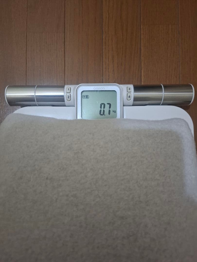 GALLARDAGALANTE　ノーカラーミドルコート