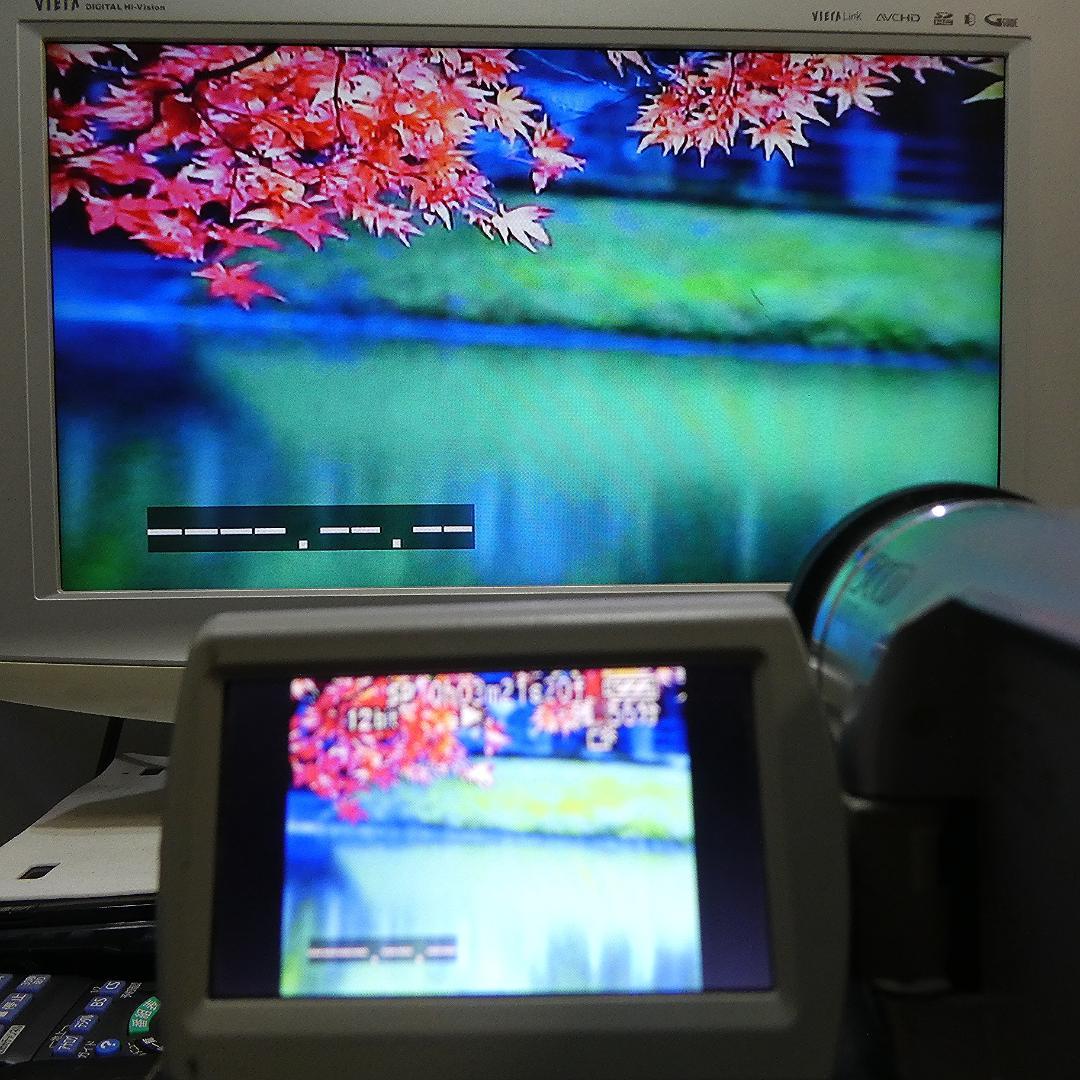 動作良好 パナソニック NV-GS300 MiniDVビデオカメラDVD化に最適