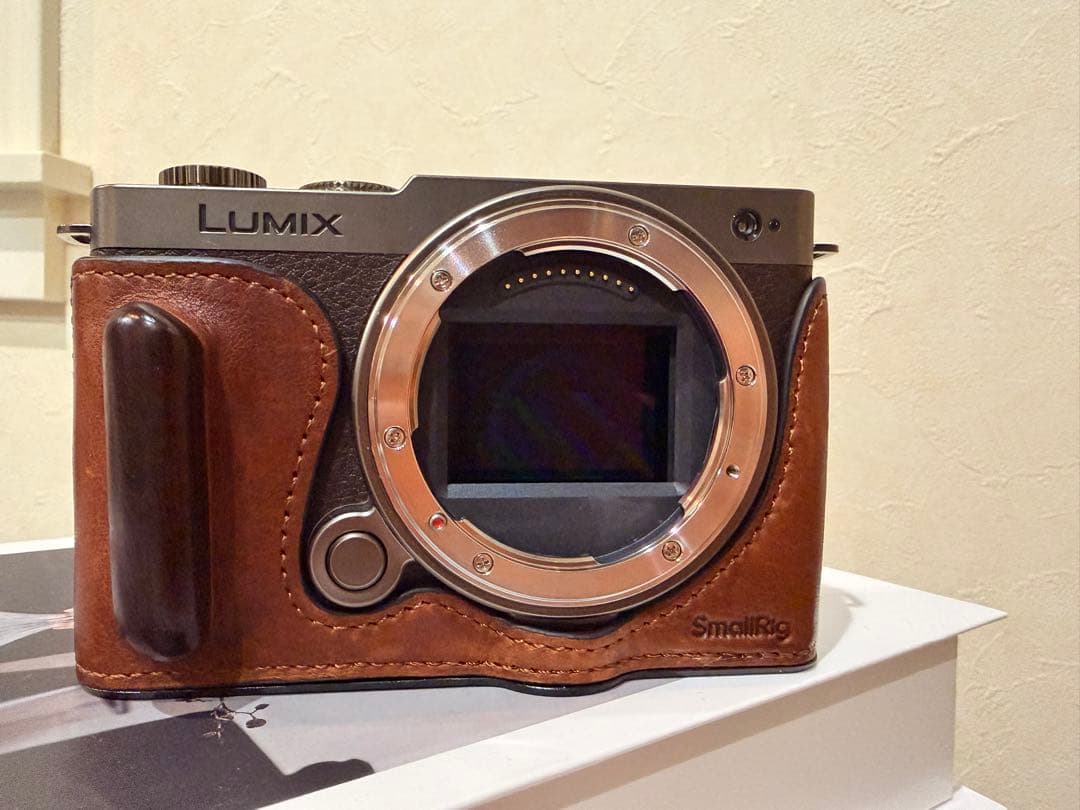 【即日発送可】lumix s9 DC-S9N-N チタンゴールド